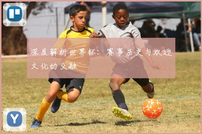 深度解析世界杯：赛事历史与欢迎文化的交融