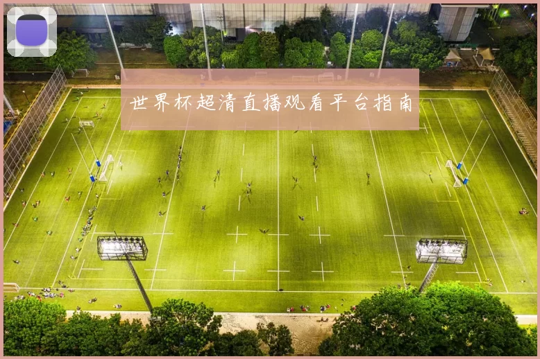 世界杯超清直播观看平台指南