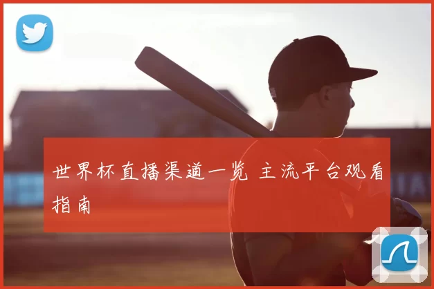世界杯直播渠道一览 主流平台观看指南