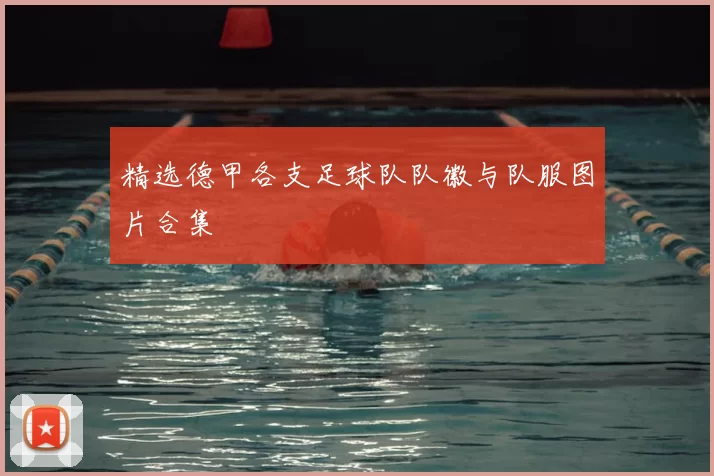 精选德甲各支足球队队徽与队服图片合集