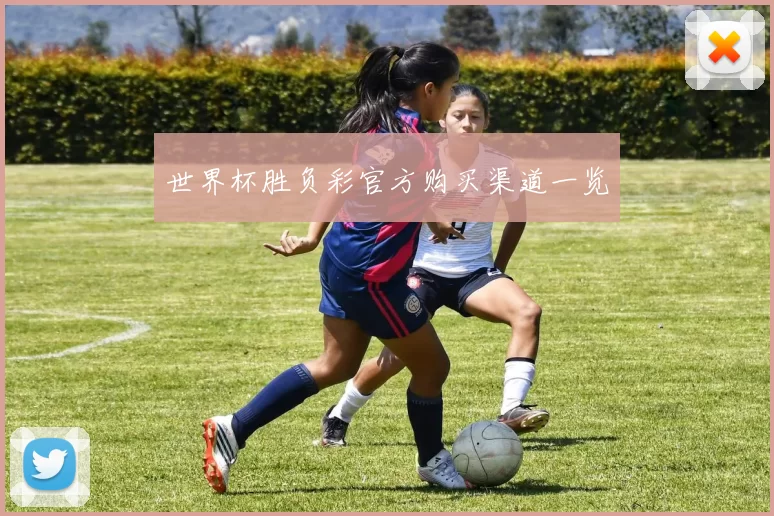 世界杯胜负彩官方购买渠道一览