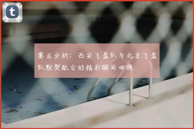 赛后分析：西安飞盘队与北京飞盘队默契配合的精彩瞬间回顾