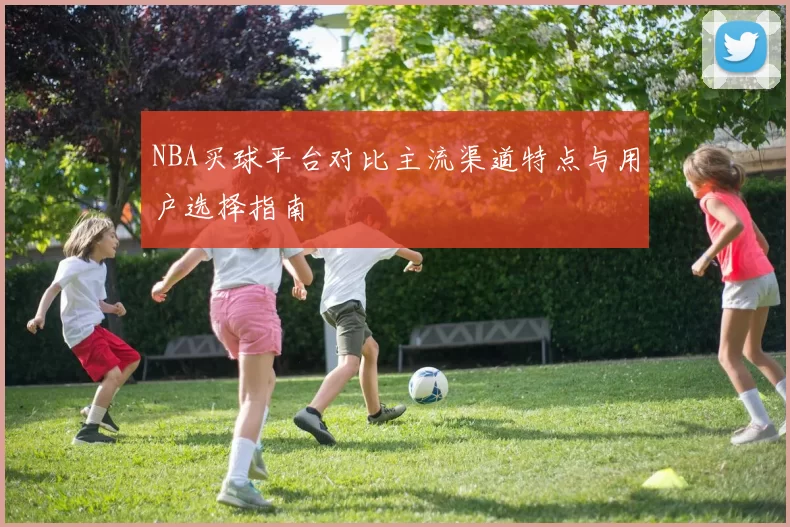 NBA买球平台对比主流渠道特点与用户选择指南