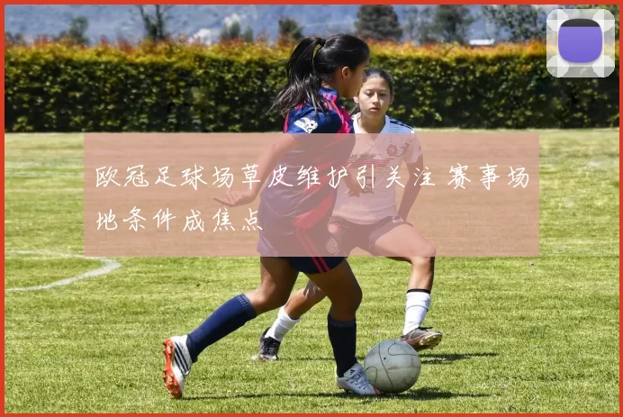 欧冠足球场草皮维护引关注 赛事场地条件成焦点