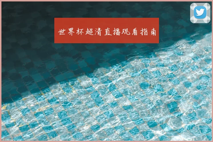 世界杯超清直播观看指南
