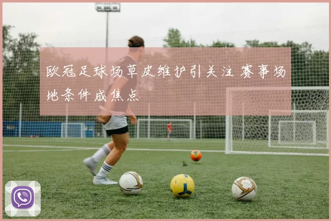 欧冠足球场草皮维护引关注 赛事场地条件成焦点
