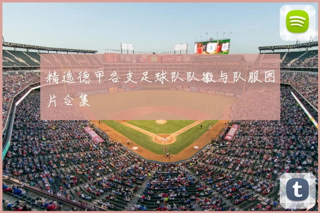 精选德甲各支足球队队徽与队服图片合集