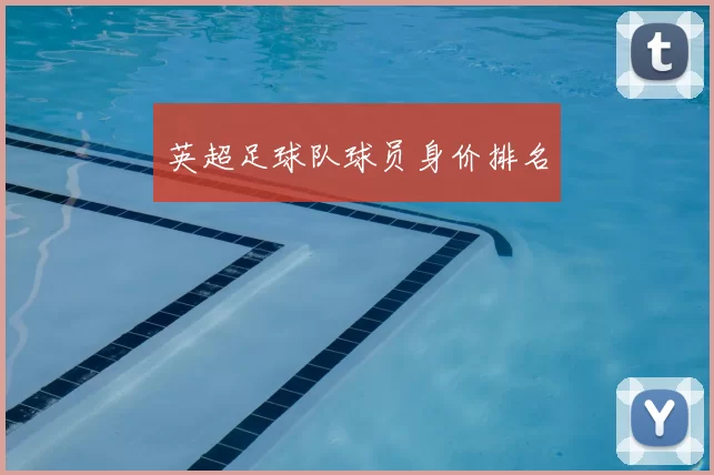 英超足球队球员身价排名