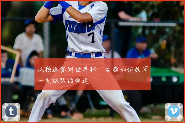 从预选赛到世界杯:名额如何改写一支球队的命运