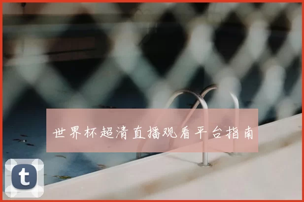 世界杯超清直播观看平台指南