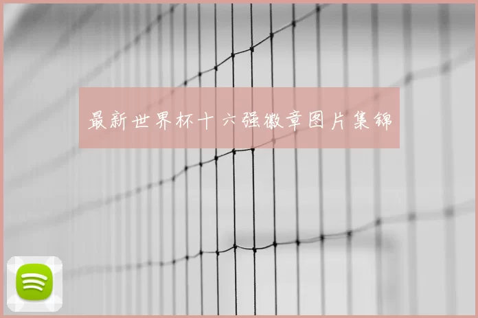 最新世界杯十六强徽章图片集锦