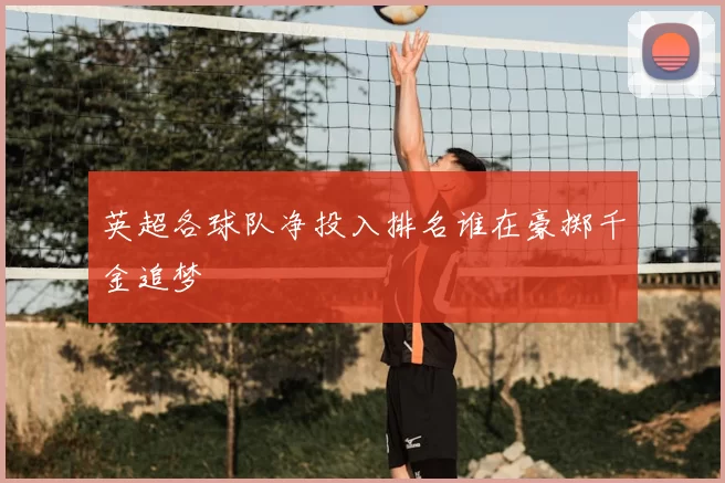 英超各球队净投入排名谁在豪掷千金追梦
