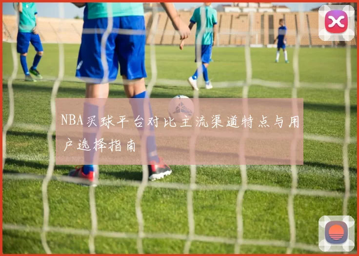 NBA买球平台对比主流渠道特点与用户选择指南