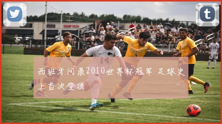 西班牙问鼎2010世界杯冠军 足球史上首次登顶