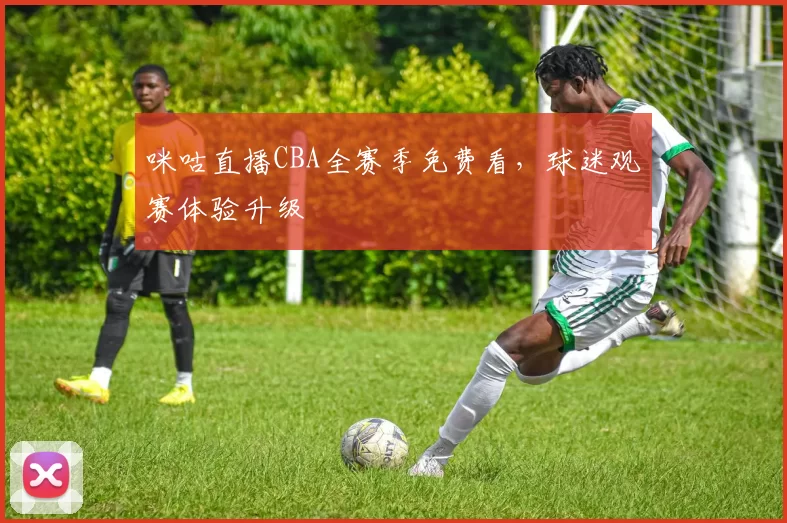 咪咕直播CBA全赛季免费看，球迷观赛体验升级